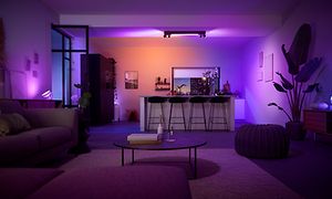 Smart lighting - One iving rooms with smart light inside