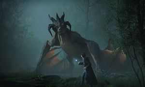 Skjermbilde fra spillet Hogwarts Legacy med en drage og en trollmann