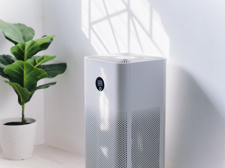 White air purifier a room next to a green plant