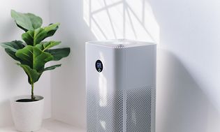 White air purifier a room next to a green plant