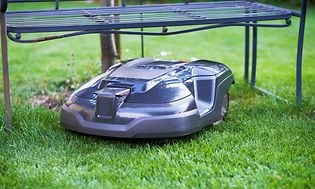 Robot lawn mover under a trampoline