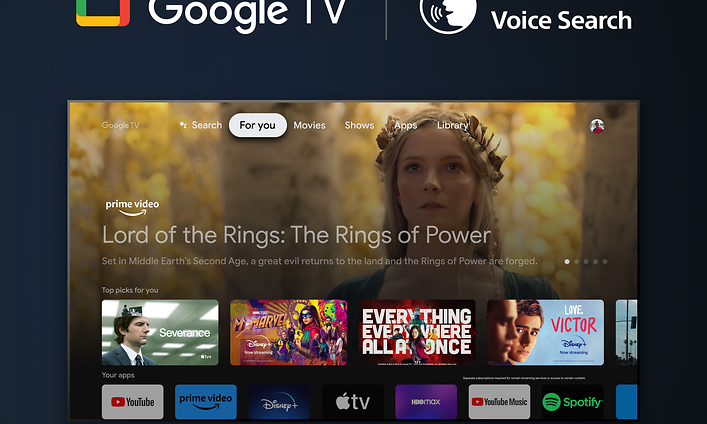 Sony X75WL TV Google TV stemmestyring