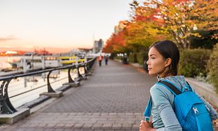 AdobeStock_164616976