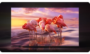 Samsung QLED TV med nyanserikt innhold i 4K