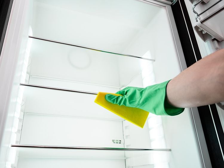 Rengjør og vedlikehold kjøleskapet:Kjøleskap som vaskes innvendig av hånd i grønn gummihanske