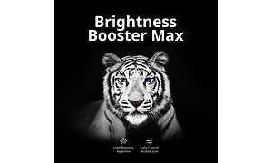 LG OLED TV med Brightness Booster Max og en tiger