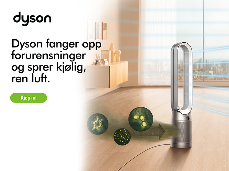 Dyson Heatwave