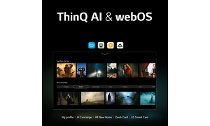 LG - TV - ThinQ & webOS