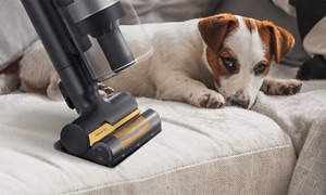 Samsung Jet med Pet Tool+ børsten støvsuger ved siden av en hund i sofaen