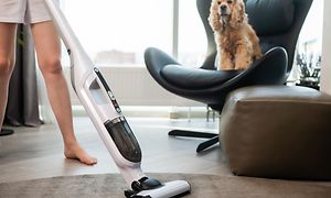 Vacuum cleaner for pets - Person vacuuming while dog sits in a chair watching