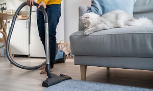 Vacuum cleaner for pets - Person vacuuming while cat is on the sofa