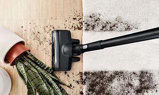 Trådløs Bosch-støvsuger rengjør skitt fra gulvet som kommer fra en veltet husplante