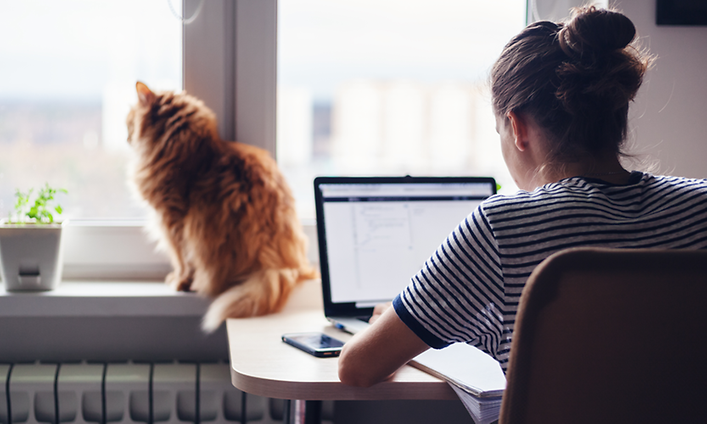 Kvinne sitter på hjemmekontoret og jobber og en katt ved siden av henne