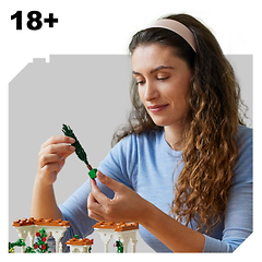 set-by-age-18-plus