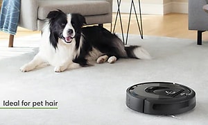 iRobot Roomba i7+ og en hund på gulv i stue